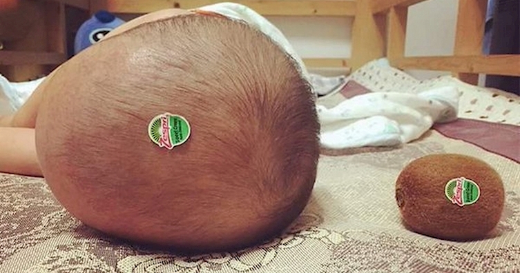What We didn't know Kiwis could come in striking sizes!