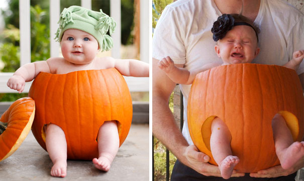 If only living in pumpkin shells was so easy!