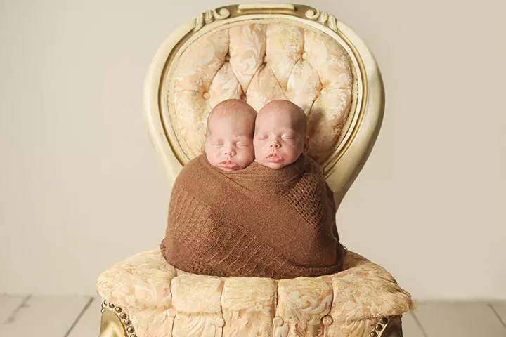 These babies look so sweetly nestled on the chair