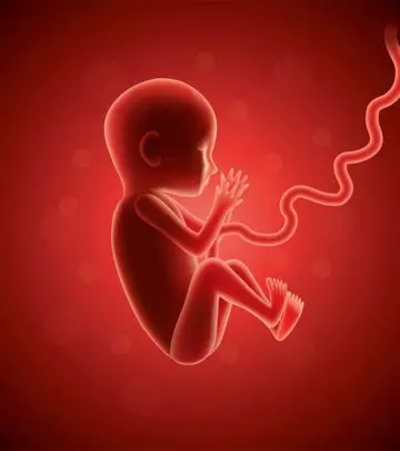 17-Secrets-Of-Baby-Behavior-In-The-Womb