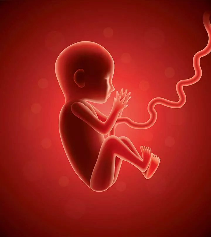 17 Secrets Of Baby Behavior In The Womb