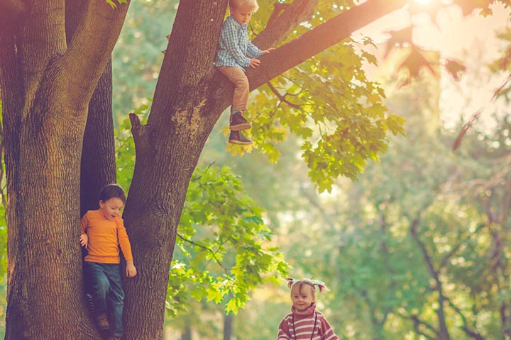 Allowing your child to climb a tree