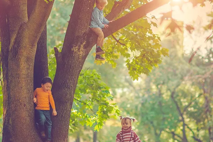 Allowing your child to climb a tree