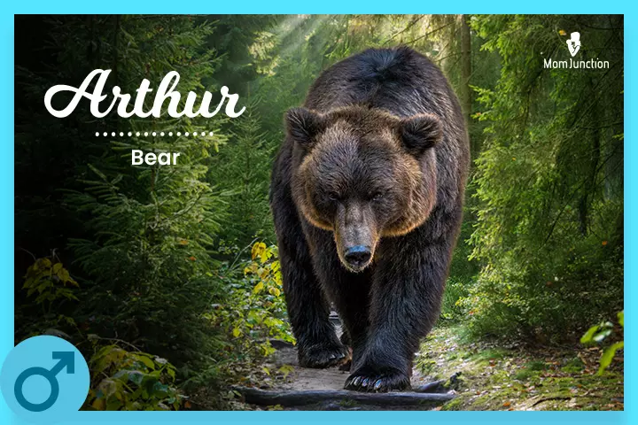 Arthur is an 80's baby name meaning bear