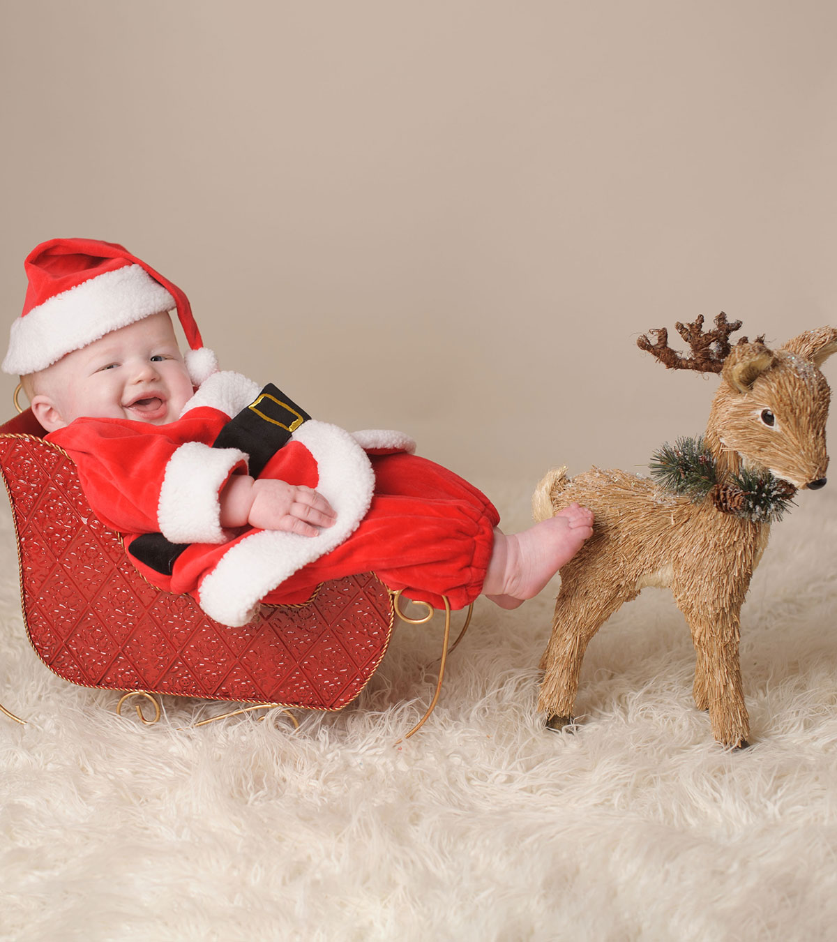 reindeer pures Christmas embroidered Santa