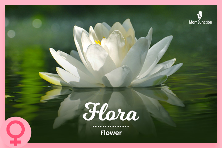 Flora: Flower