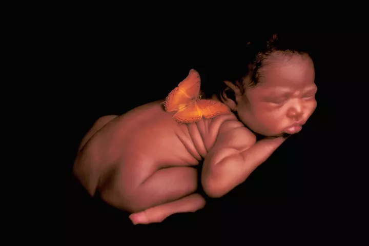 Look at those baby wrinkles and a butterfly perched. Shows total serenity.