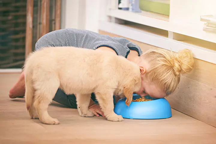 Might not be a great idea to taste dog food!