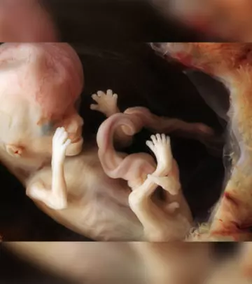Stunning-Photos-of-Human-Developing-In-The-Womb