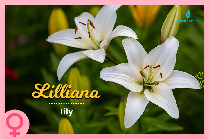 Lilliana, long baby names