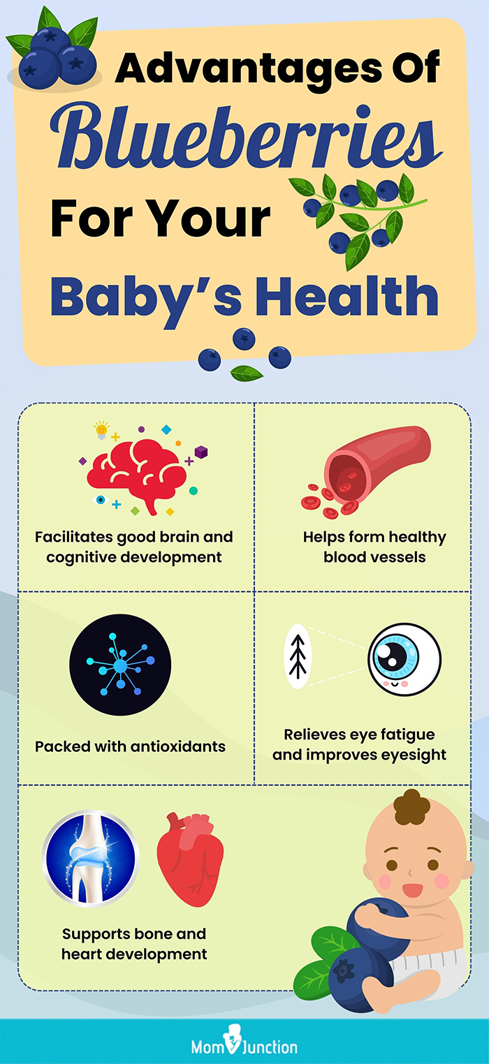 蓝莓对婴儿的好处(信息图)