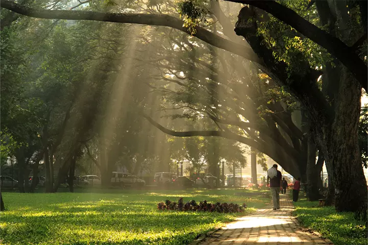 Cubbon park