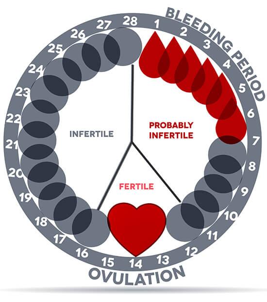 Reliable Menstrual Period Calculator Calendar Track Monthly Cycle