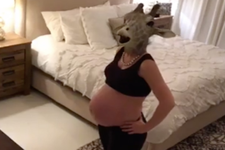 the pregnant giraffe