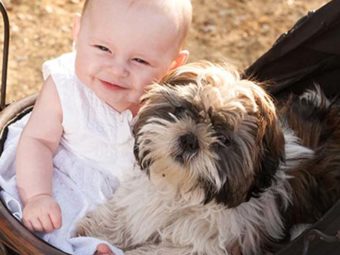 Why Dogs and Cats Make Babies Healthier
