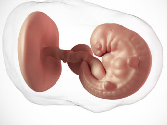10 Signs That The Baby In Womb Has Stopped Growing