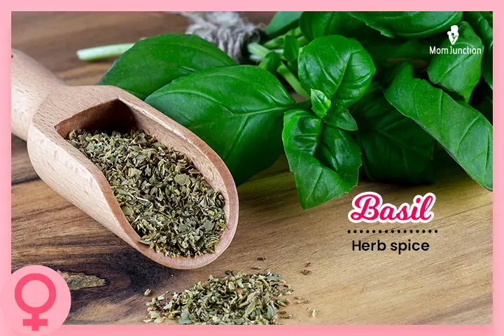 Basil is an Amazigh name for girls