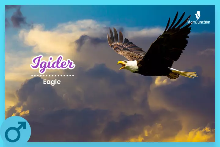 Igider is an Amazigh name for boys meaning eagle