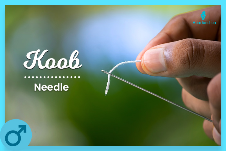 Koob is the shortened form of Koob-Hmoov or Koobmeej, meaning ‘needle’