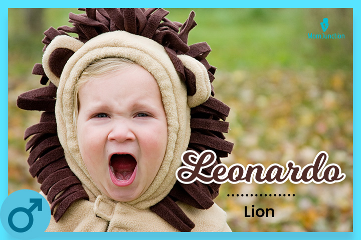 Leonardo, lion