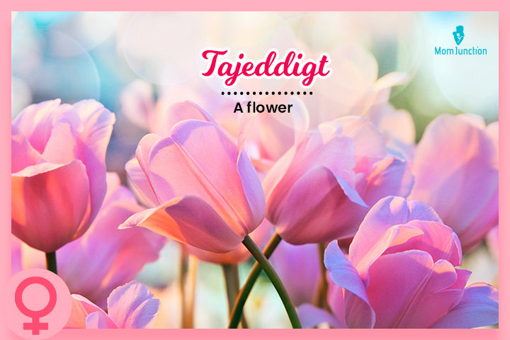 Tajeddigt means a flower