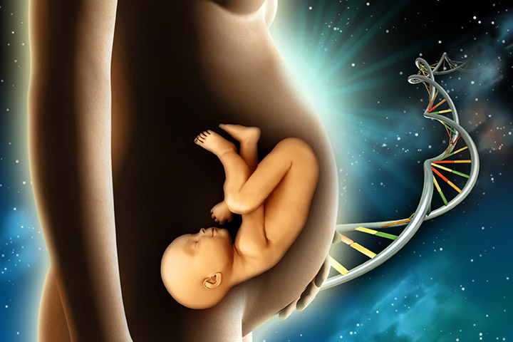 Do babies dream in the womb