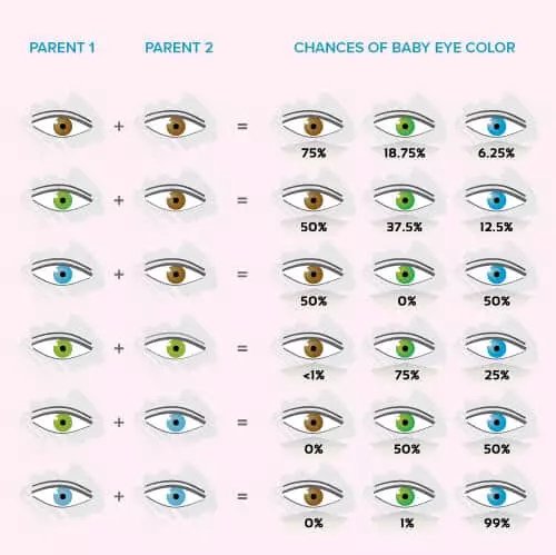 baby eye color chart