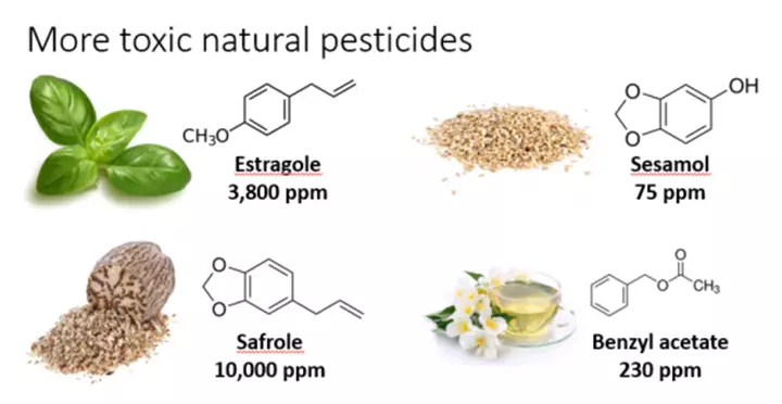 natural pesticides