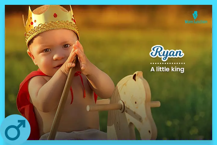 Ryan, a little king 
