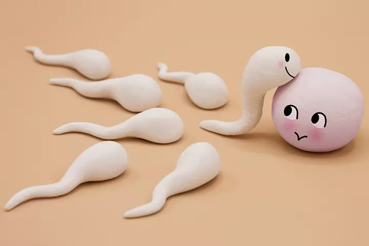 How frequent should be your intercourse