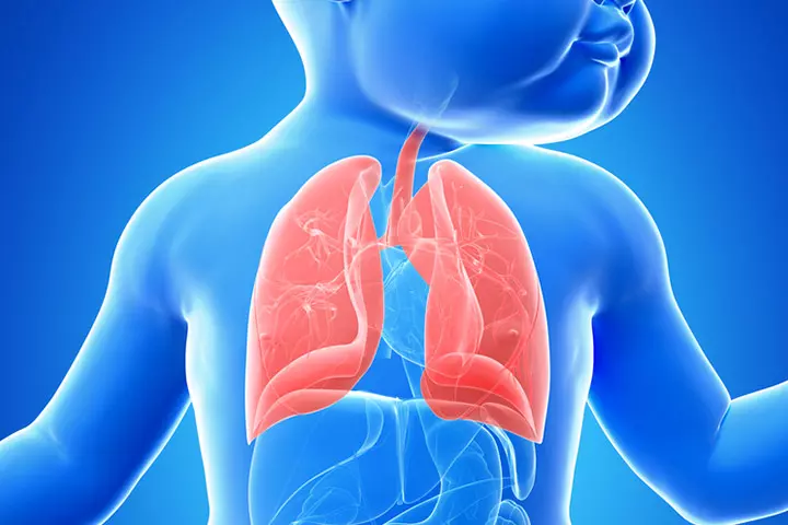 The Growth and Development of the Respiratory System