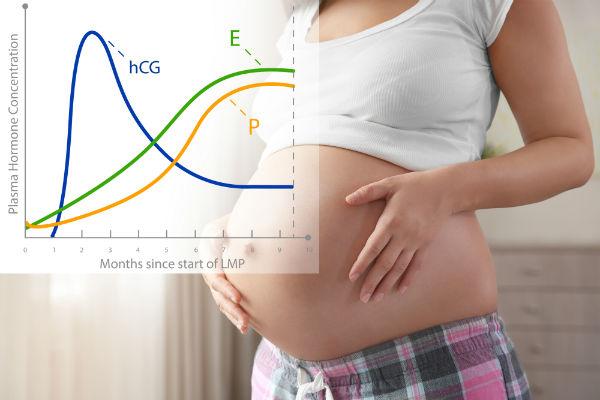 Hcg Doubling Chart