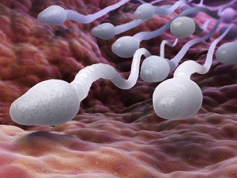 Why Are Scientists Studying Sperm To Find the Key To Male Fertility