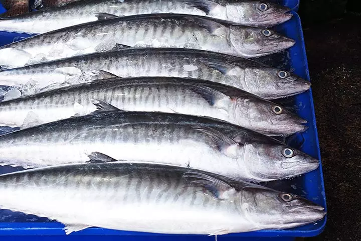 Fish with High Mercury