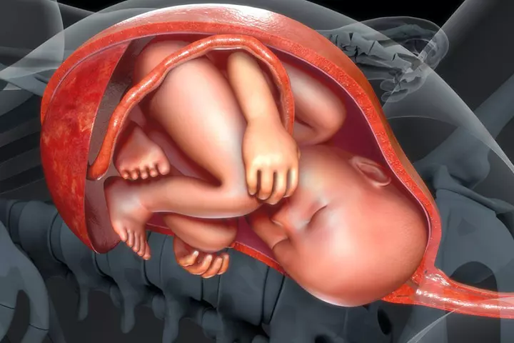 How To Determine The Position Of The Baby