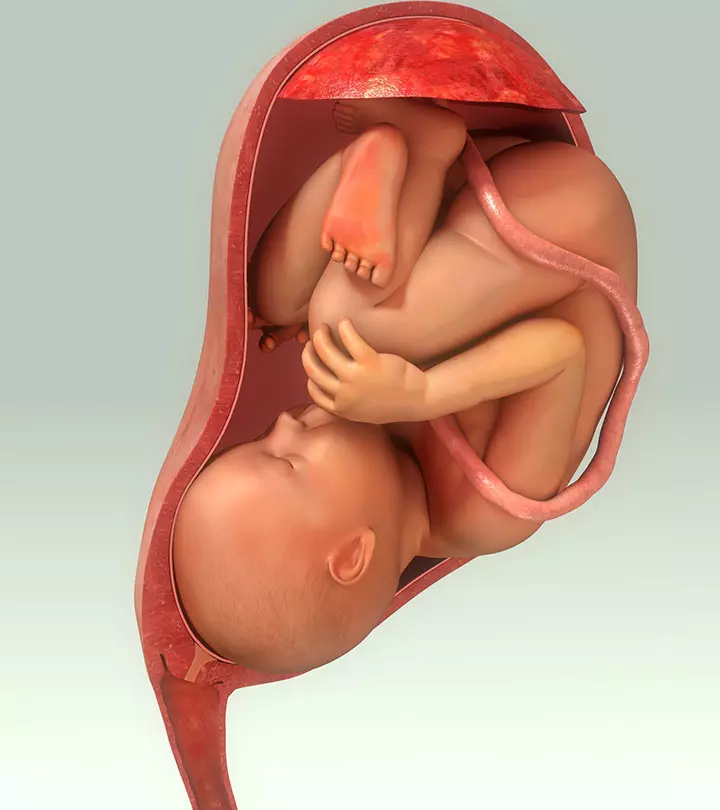 Optimal Foetal Positioning: How To Make Birth Easier