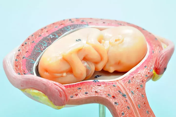 Why Is Optimal Foetal Positioning Important