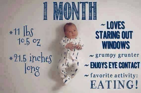 1-3 Months