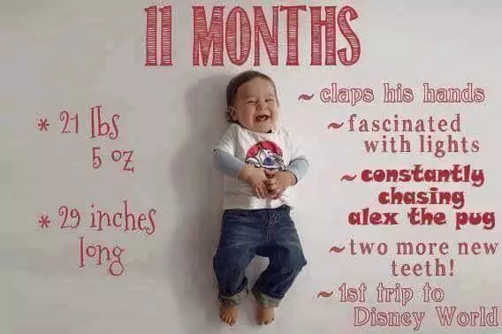 10-12 Months