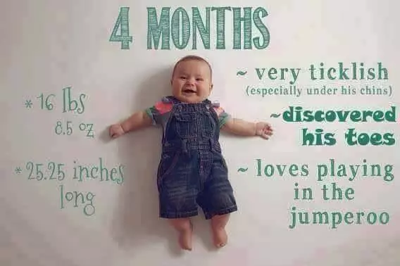 4-6 Months