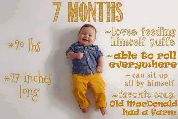7-9 Months