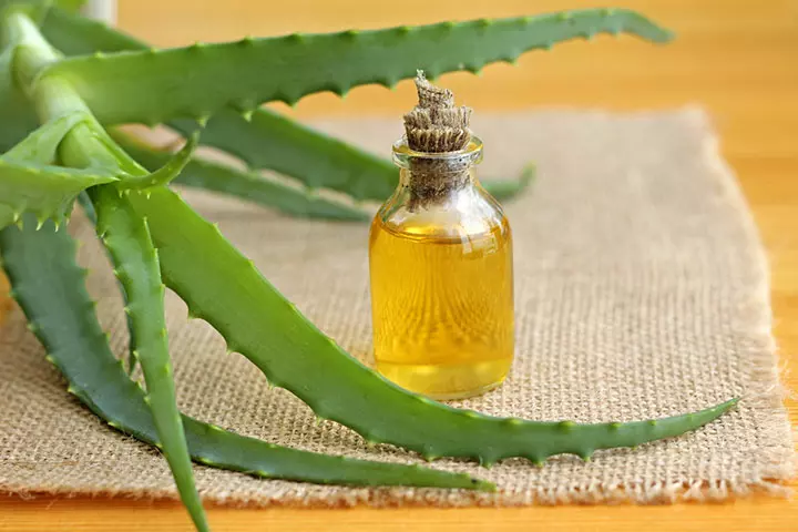 Using Aloe Vera & Almond Oil Using Aloe Vera & Almond Oil