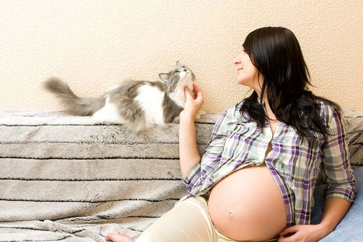 Caressing A Cat Will Give Your Baby A Lot Of Enemies