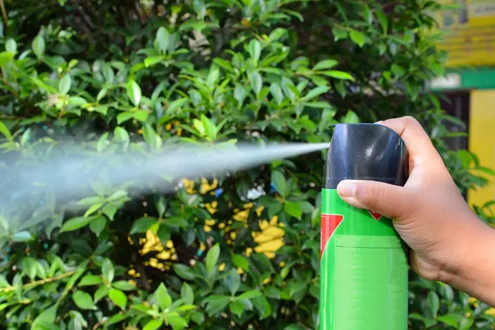 When To Apply Repellent