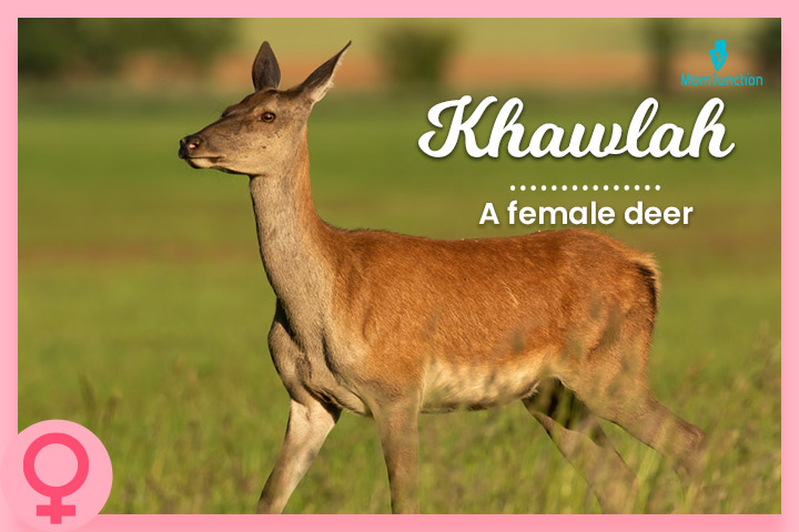 Khawlah, a female companion of Muhammad
