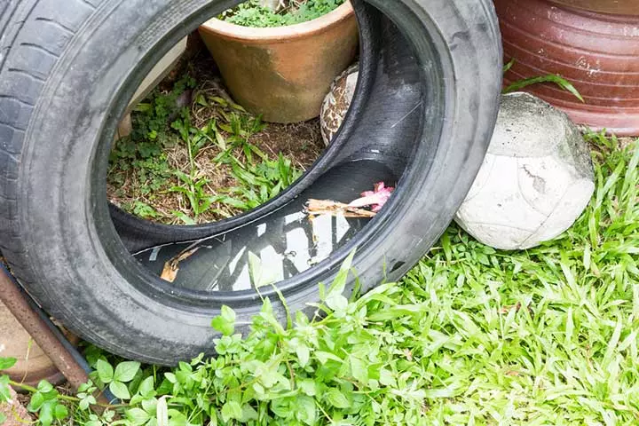 Preventing Mosquitoes From Breeding