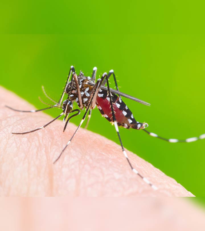 Symptoms Of Chikungunya And Its Prevention