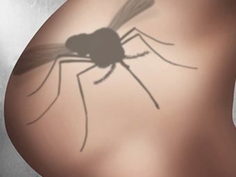 The History Of the Zika Virus In India & How One Should Prevent It