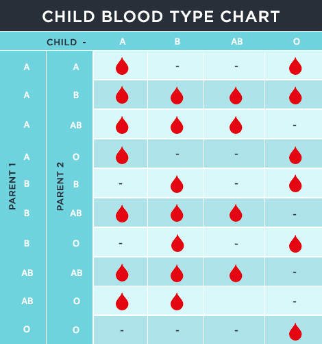 儿童血型图表