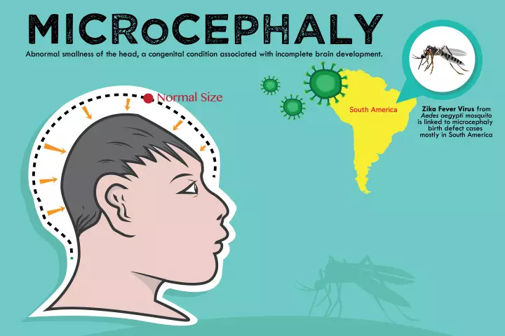 The History Of the Zika Virus In India & How One Should Prevent It1